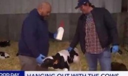 新闻爆料失误合集,揭秘媒体界的“乌龙”瞬间