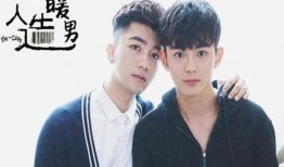 人造暖男在线观看,揭秘人造暖男在线观看之旅